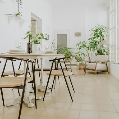 Flat From 17th Century In A Monastery In 아파트 *