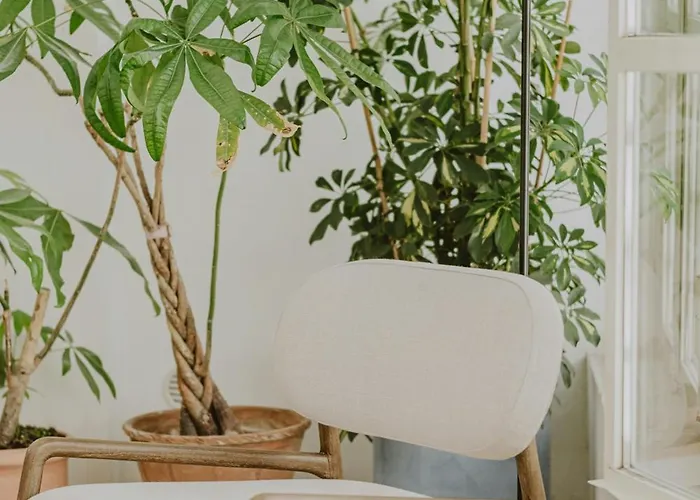 Flat From 17th Century In A Monastery In 아파트 나르도